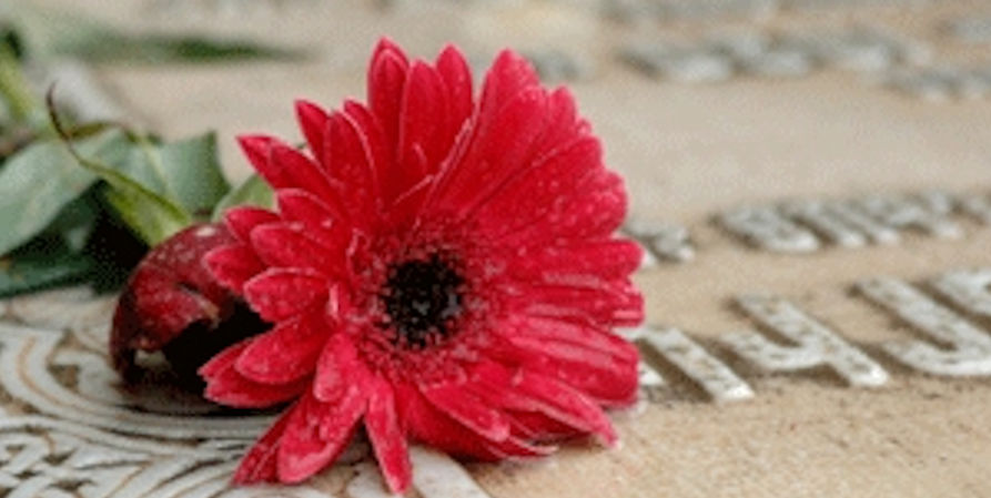 bloem-op-grafsteen